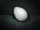 Giant Eggs