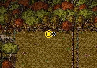 Add how many?; highlighted search position