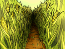 Corn Maze
