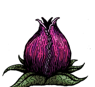 Strange Plant — battle appearance
