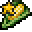 Corn3.png