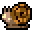Mud Snail