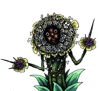 Pretty Flower — battle appearance