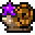 MudSnail4.png
