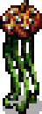 Overworld appearance