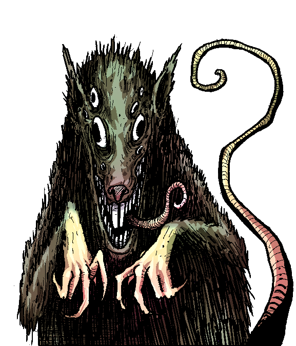 Rat