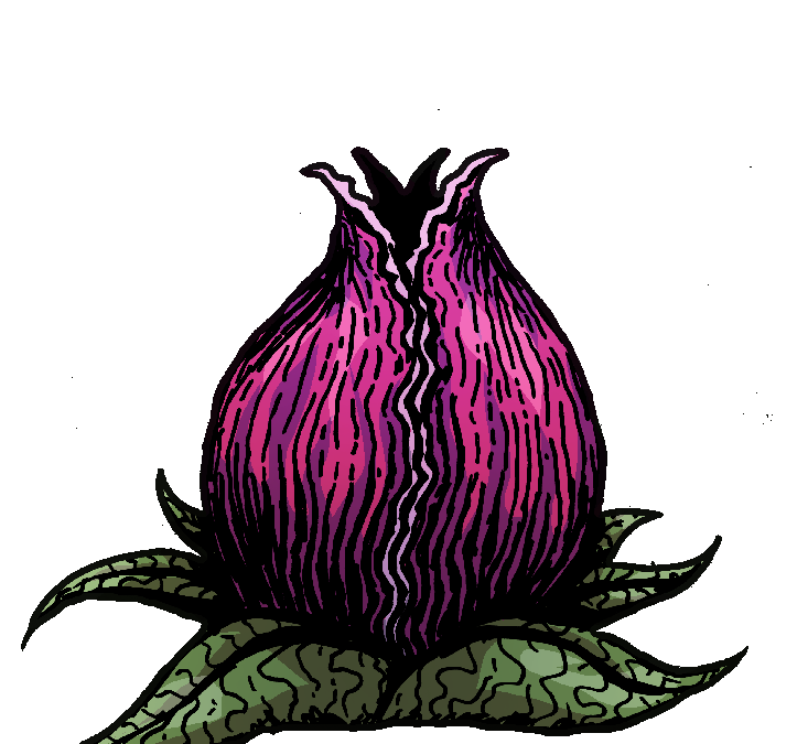 Strange Plant