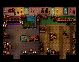 Inside the Pet Shop and Nursery