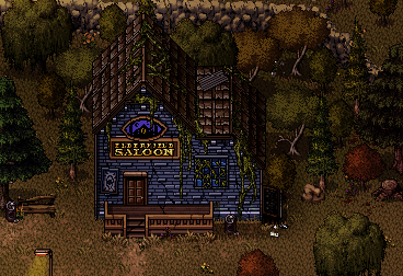 North-eastern Town, where the Saloon is located