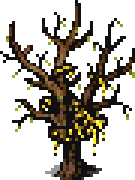 Honeytree