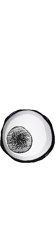 Enemy image - BigHeadEyeR.png