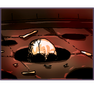 Hiding Skeleton