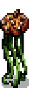 Overworld appearance