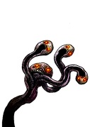Growth — Med Head 3 — battle appearance
