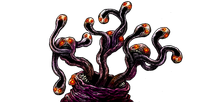 Emissary of Xxarteck — 4 — battle appearance